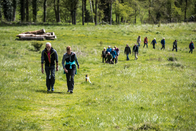 Wandelen-in-Limburg-Merici-Hotel-Sittard